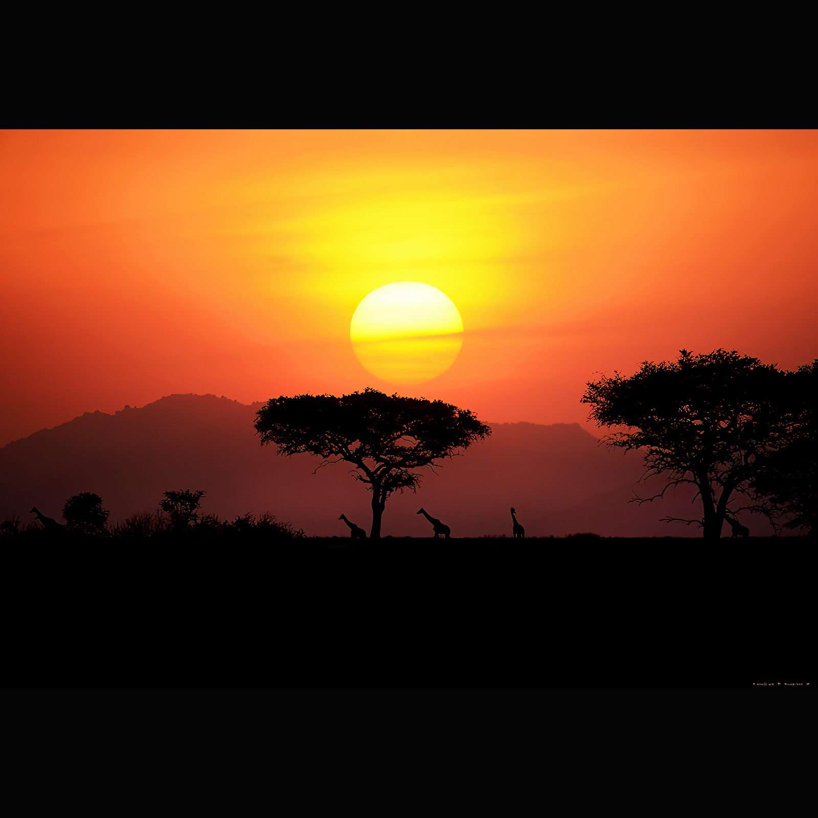 Serengeti National Park 08-21/22-13   At the Grometi Camp at what is known as the Serengeti National Park's Narrow Corridor near the border with Kenya. (Essdras M Suarez/ EMS Photography