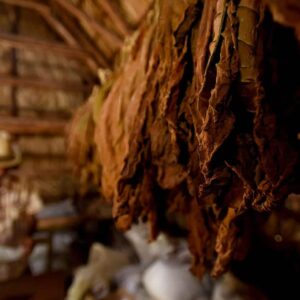 Cuban Visions: A Photo Expedition to Havana, Viñales, and Matanzas/ Nov 6- 14th, 2026